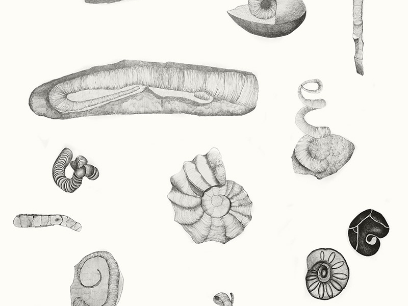 Drawings - Feeling the Underside 
